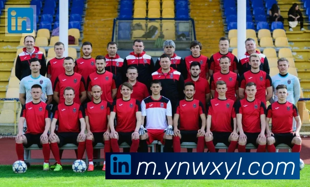 bsports体育在线登录发展历程