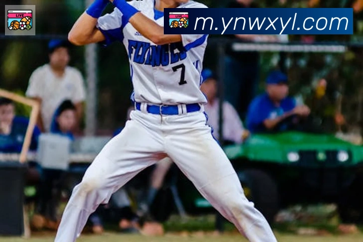 bsports体育在线登录APP 体育赛事宣传图