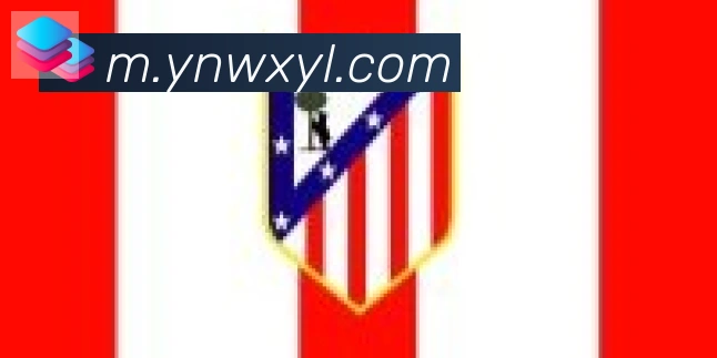 bsports体育在线登录合作伙伴