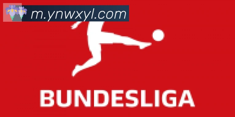 bsports体育在线登录合作伙伴