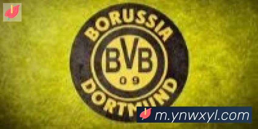 bsports体育在线登录合作伙伴