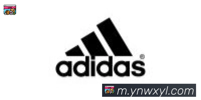 bsports体育在线登录合作伙伴